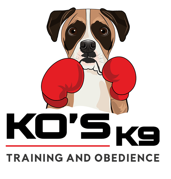 KO's K9 Training and Obedience